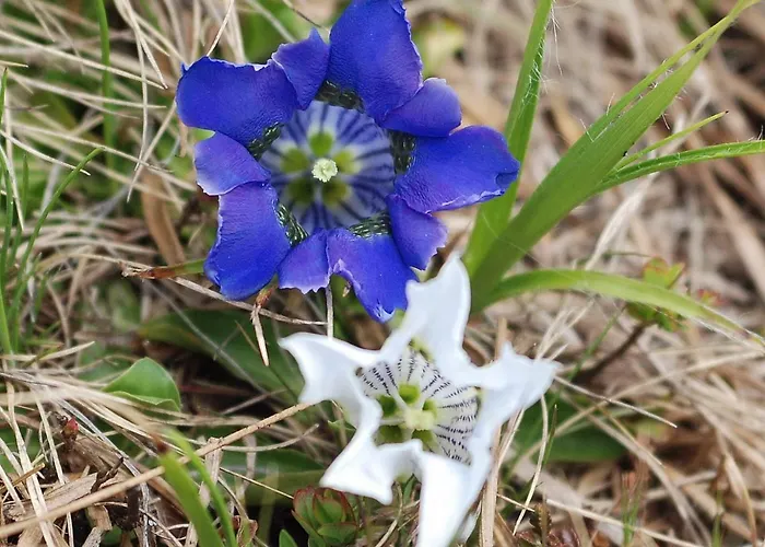 Serlesblick Apartamento