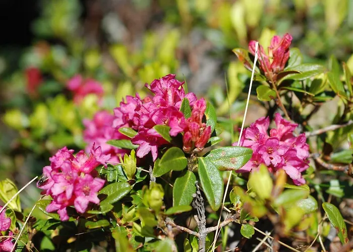 Serlesblick Apartamento