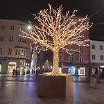 Serlesblick Lägenhet Ellbögen